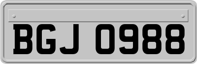 BGJ0988