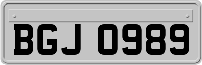 BGJ0989