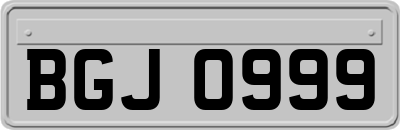 BGJ0999