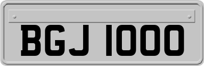 BGJ1000