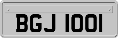 BGJ1001