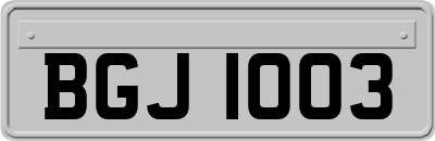 BGJ1003