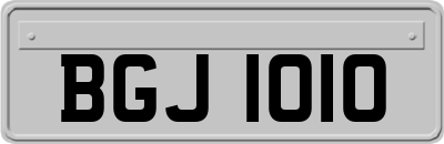 BGJ1010