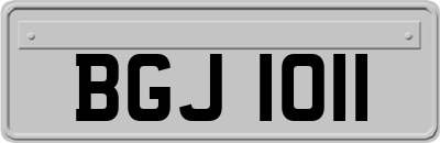 BGJ1011