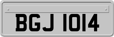 BGJ1014