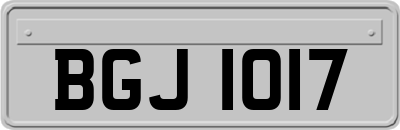 BGJ1017