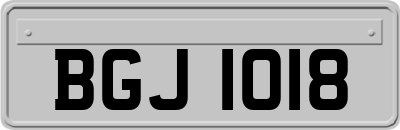BGJ1018