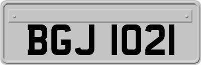 BGJ1021