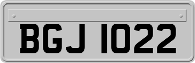 BGJ1022