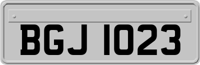BGJ1023