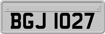 BGJ1027