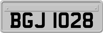 BGJ1028