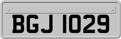 BGJ1029