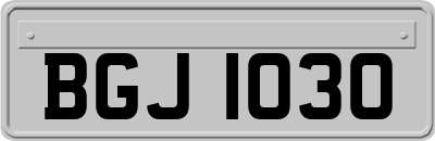 BGJ1030