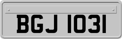 BGJ1031