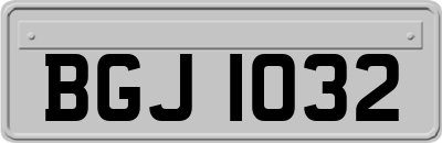 BGJ1032