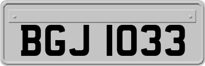 BGJ1033