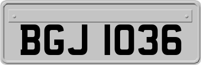 BGJ1036