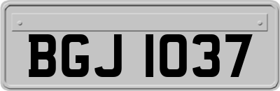 BGJ1037