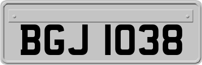 BGJ1038