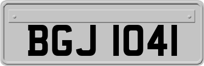 BGJ1041
