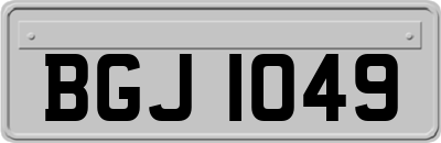 BGJ1049