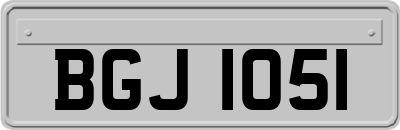 BGJ1051