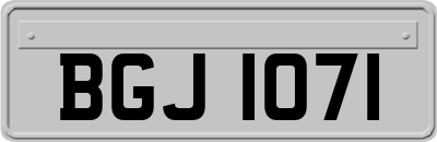 BGJ1071