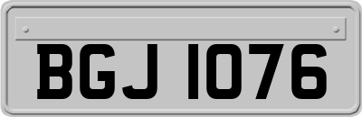 BGJ1076