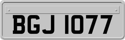 BGJ1077