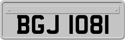 BGJ1081