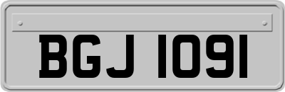 BGJ1091