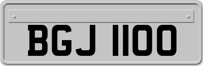 BGJ1100