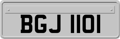 BGJ1101