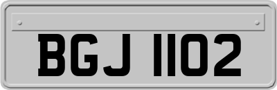 BGJ1102