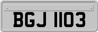 BGJ1103