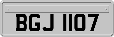 BGJ1107