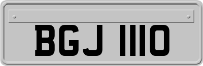 BGJ1110