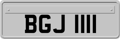 BGJ1111