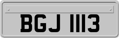 BGJ1113