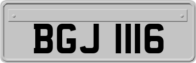 BGJ1116