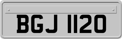 BGJ1120
