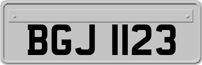 BGJ1123