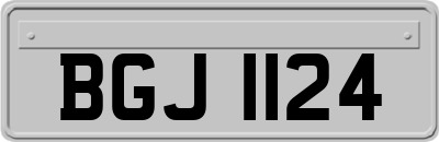 BGJ1124