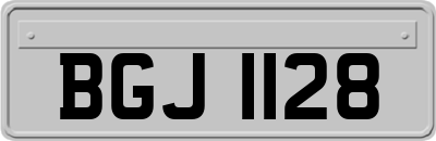BGJ1128