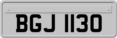 BGJ1130