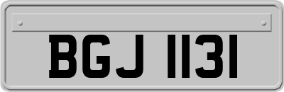 BGJ1131