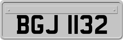 BGJ1132