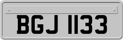 BGJ1133