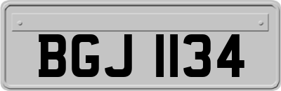BGJ1134
